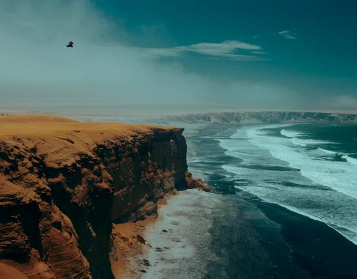 paracas